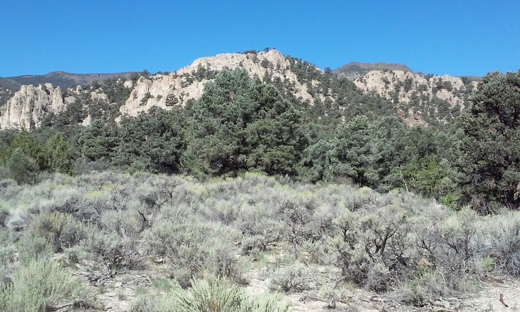 Longstreet Project 1