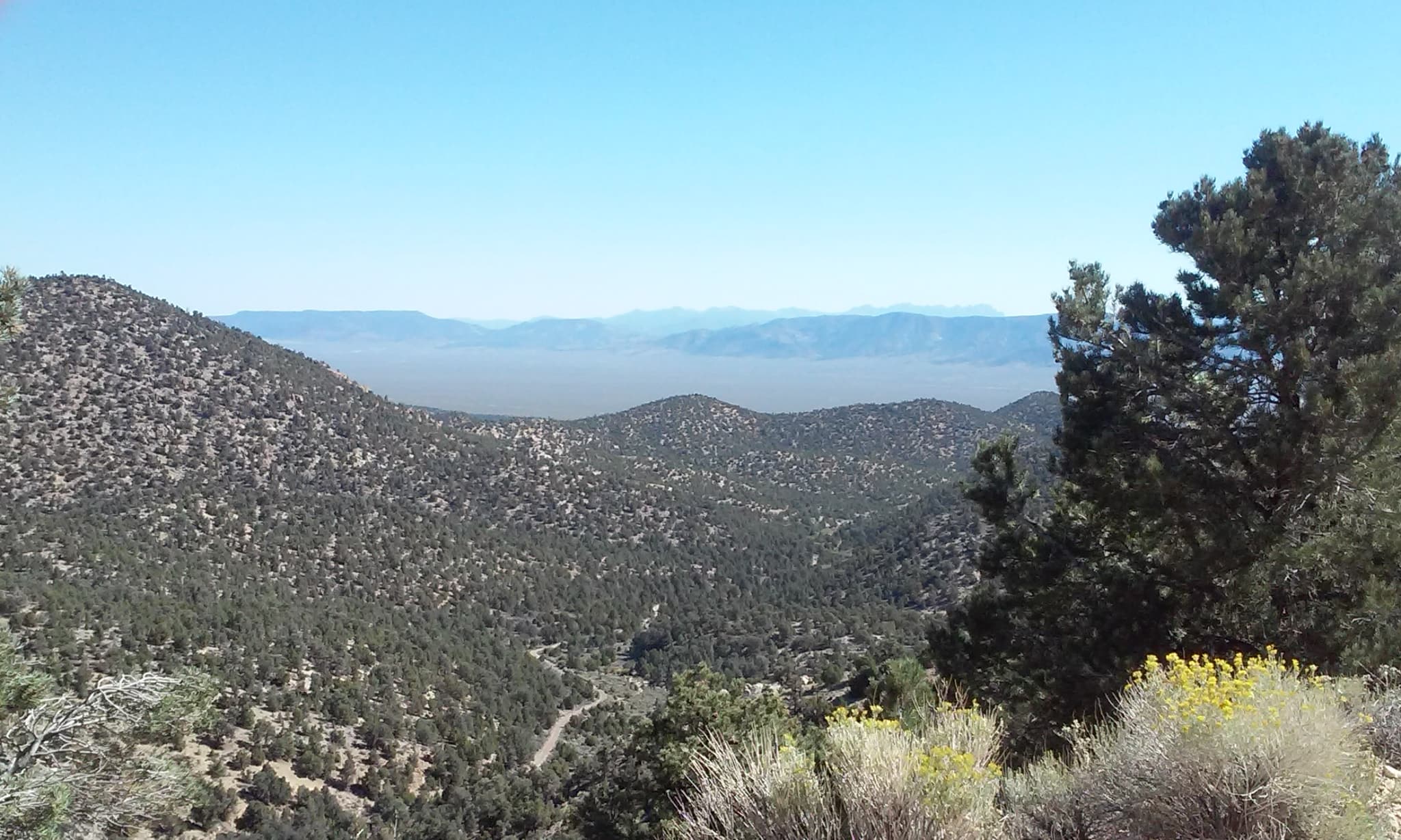 Longstreet Project 3