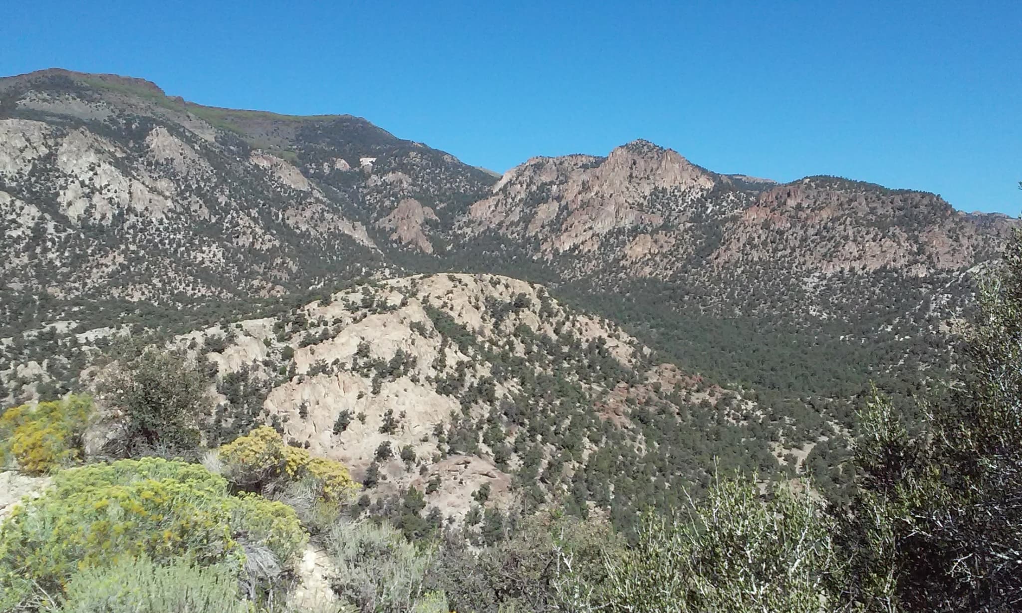 Longstreet Project 4